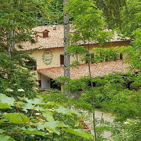 Agriturismo Fonte Magria أبّادييا سان سالفاتور المظهر الخارجي الصورة