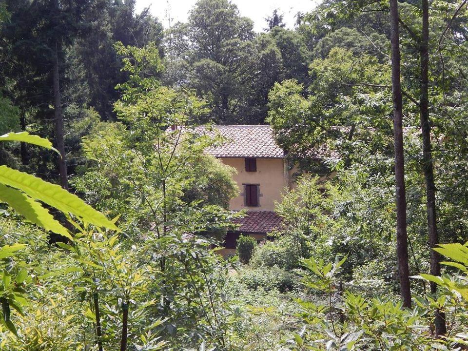 Agriturismo Fonte Magria أبّادييا سان سالفاتور المظهر الخارجي الصورة